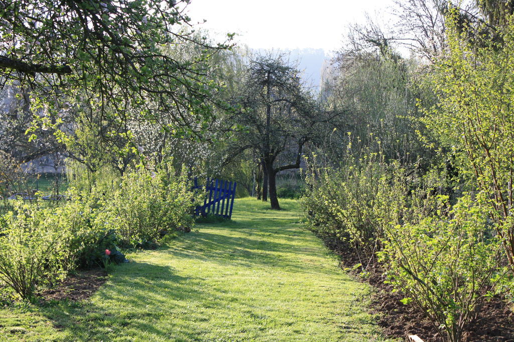 Bed and Breakfast La Barbotine Septmonts Exterior foto